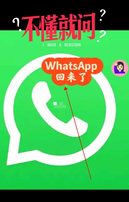 whatsapp安卓下-whatsapp安卓下载安装2024最新版本