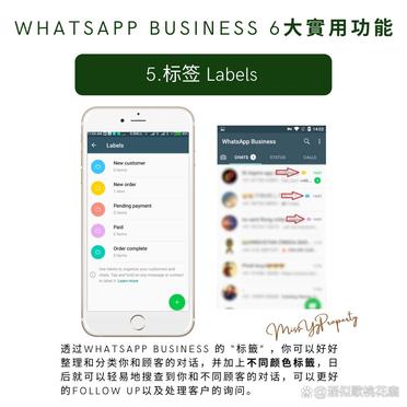 包含whatsappbusiness2021apk的词条