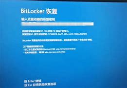 bitcoke安全吗-bitlovker有用吗