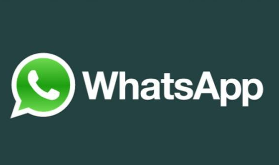 电脑怎么登录whatsapp-电脑怎么登录microsoft账户