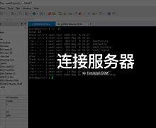 vps和梯子的区别-vps搭建梯子是否违法