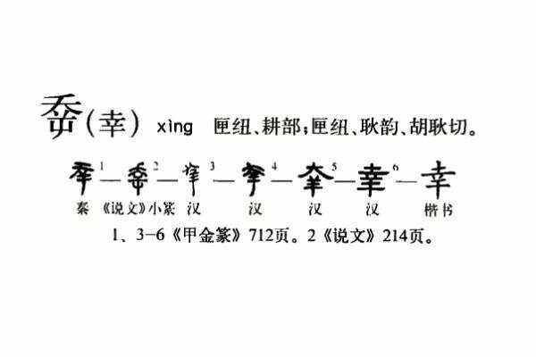 六字出玄机正确答案,六字出头马上找猜生肖