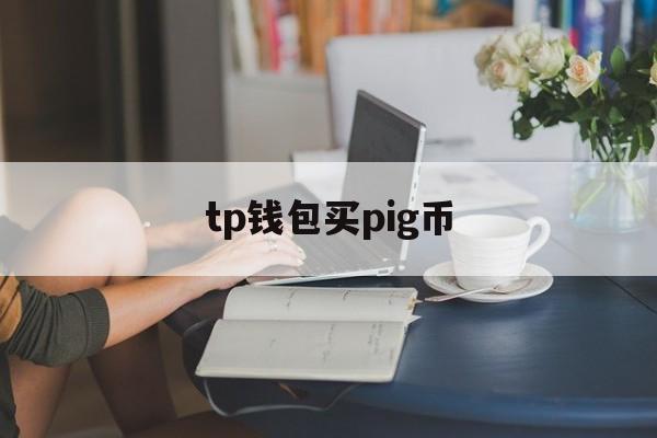 tp钱包买pig币，tp钱包买币多久到账