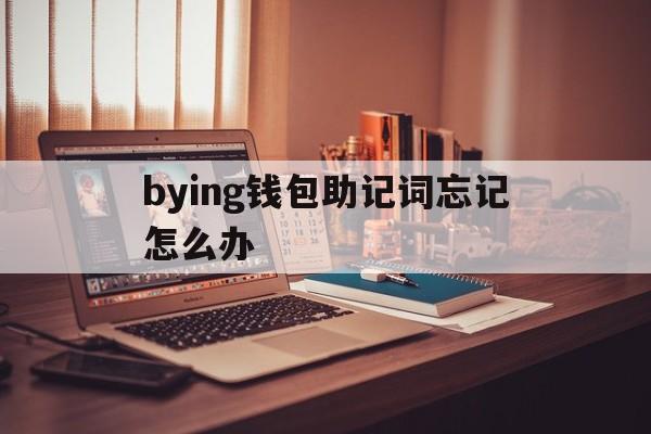 bying钱包助记词忘记怎么办的简单介绍