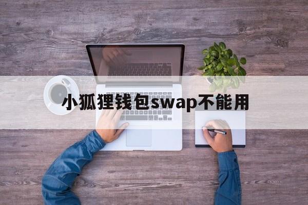 小狐狸钱包swap不能用的简单介绍