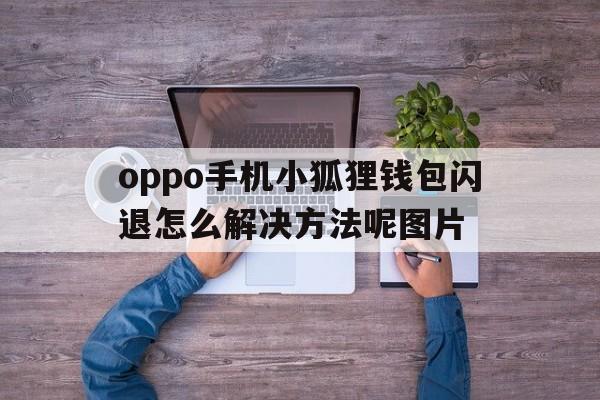 oppo手机小狐狸钱包闪退怎么解决方法呢图片的简单介绍