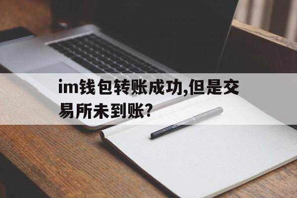 im钱包转账成功,但是交易所未到账?，im钱包怎么用uniswap交易所教程