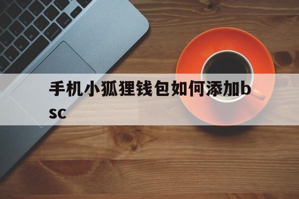 手机小狐狸钱包如何添加bsc，手机小狐狸钱包怎么添加bsc网络