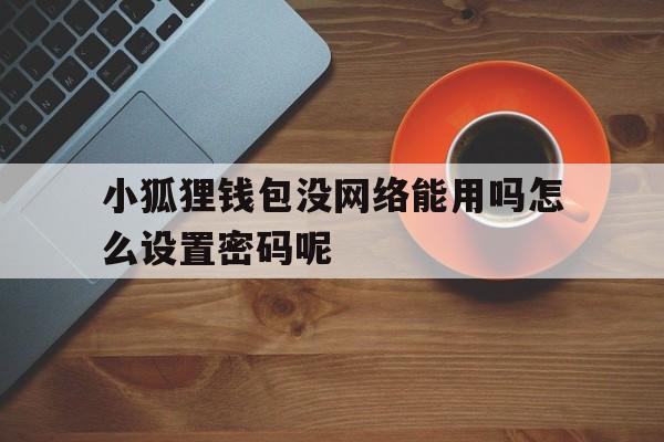 小狐狸钱包没网络能用吗怎么设置密码呢，小狐狸钱包没网络能用吗怎么设置密码呢苹果