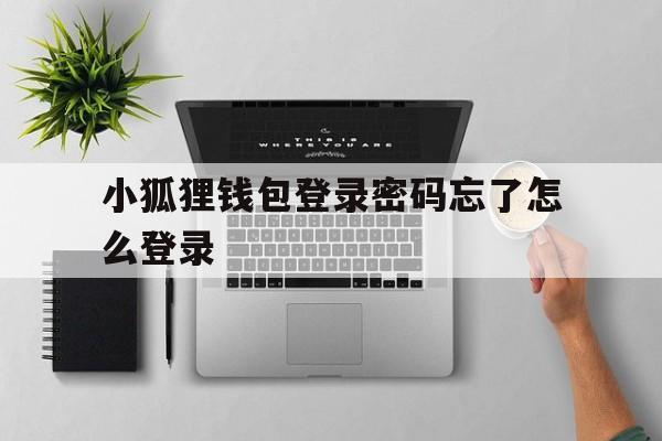 小狐狸钱包登录密码忘了怎么登录，小狐狸钱包登录密码忘了怎么登录呢