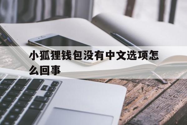 小狐狸钱包没有中文选项怎么回事，小狐狸钱包没有中文选项怎么回事儿