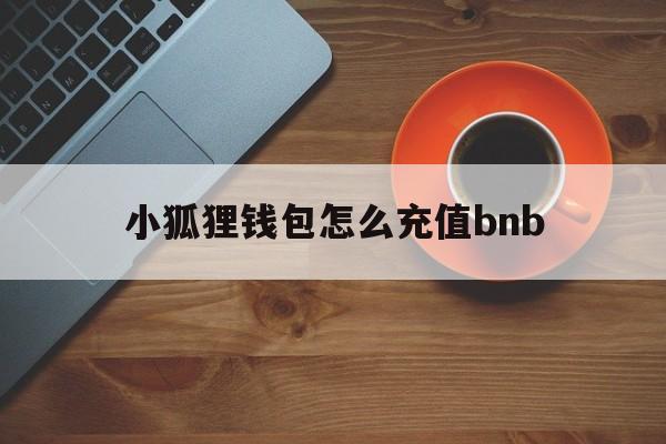 小狐狸钱包怎么充值bnb，小狐狸钱包怎么充值usdt