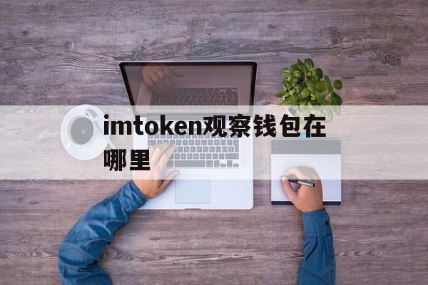 imtoken观察钱包在哪里，imtoken怎么看收到了资产