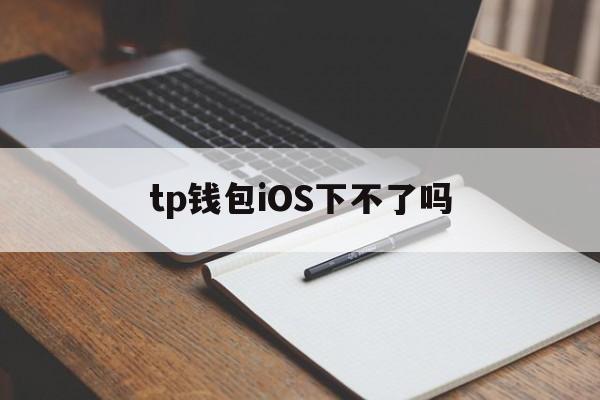 tp钱包iOS下不了吗，tp钱包国内ios怎么下载