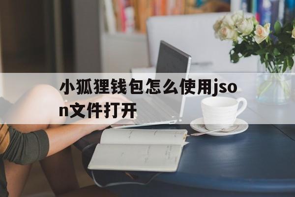 小狐狸钱包怎么使用json文件打开，小狐狸钱包怎么使用json文件打开方式