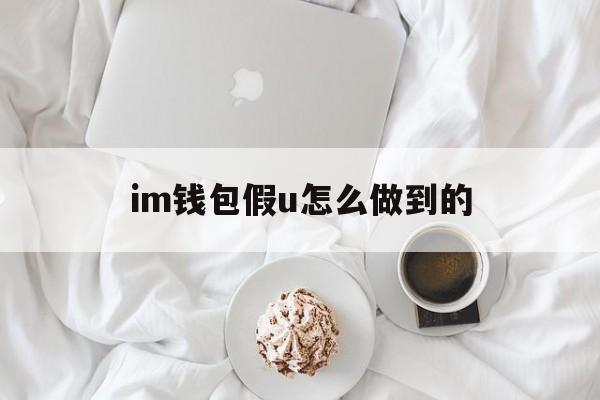 im钱包假u怎么做到的，imtoken钱包里的假u