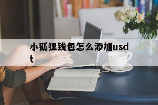 小狐狸钱包怎么添加usdt，小狐狸钱包怎么添加usdt代币