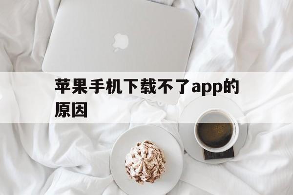 苹果手机下载不了app的原因，苹果手机下载不了app是为什么