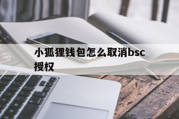 小狐狸钱包怎么取消bsc授权，小狐狸钱包怎么取消bsc授权登录