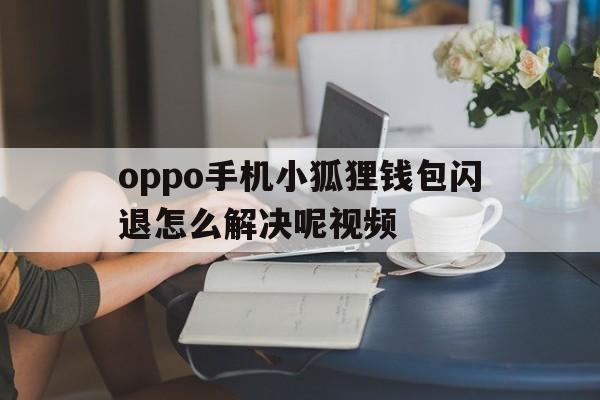 oppo手机小狐狸钱包闪退怎么解决呢视频，oppo手机小狐狸钱包闪退怎么解决呢视频教学