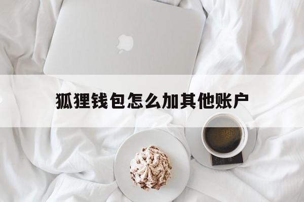 狐狸钱包怎么加其他账户，狐狸钱包app怎么设置中文