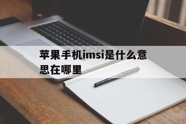 苹果手机imsi是什么意思在哪里，imei imsi是什么意思在哪里