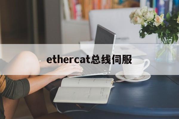 ethercat总线伺服，EtherCAT总线伺服电机参数