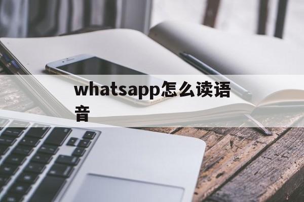 whatsapp怎么读语音，whatsapp语音翻译成中文