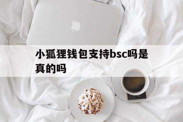 小狐狸钱包支持bsc吗是真的吗，小狐狸钱包支持bsc吗是真的吗还是假的