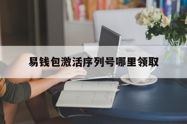 易钱包激活序列号哪里领取，易钱包手动激活序列号是什么