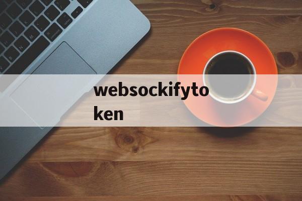 关于websockifytoken的信息