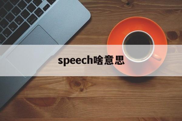 speech啥意思，speech是什么意思翻译