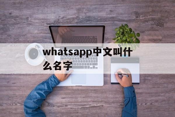 包含whatsapp中文叫什么名字的词条