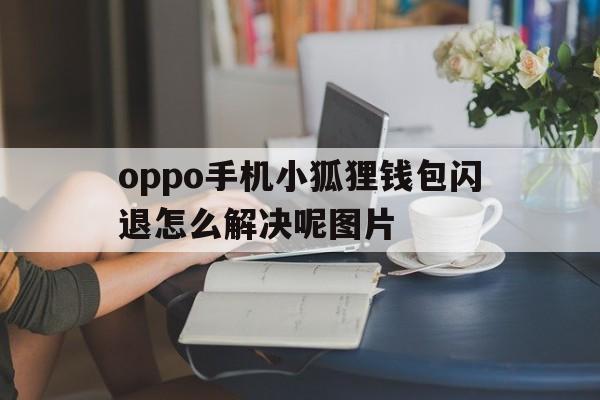 oppo手机小狐狸钱包闪退怎么解决呢图片，oppo手机小狐狸钱包闪退怎么解决呢图片教程