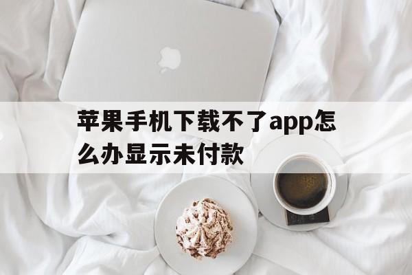 苹果手机下载不了app怎么办显示未付款，苹果手机下不了app怎么办一直是未完成付款怎么办