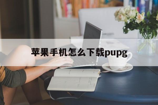 苹果手机怎么下载pupg，苹果手机怎么下载tiktok