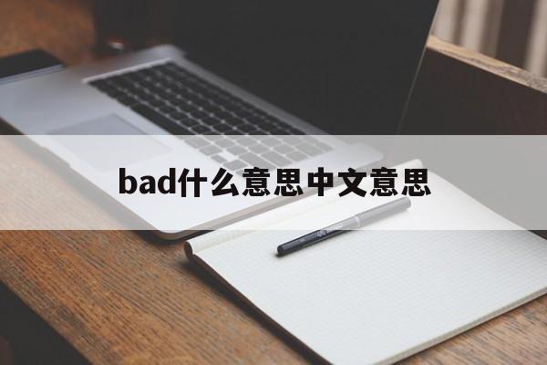 bad什么意思中文意思，bad什么意思翻译中文翻译