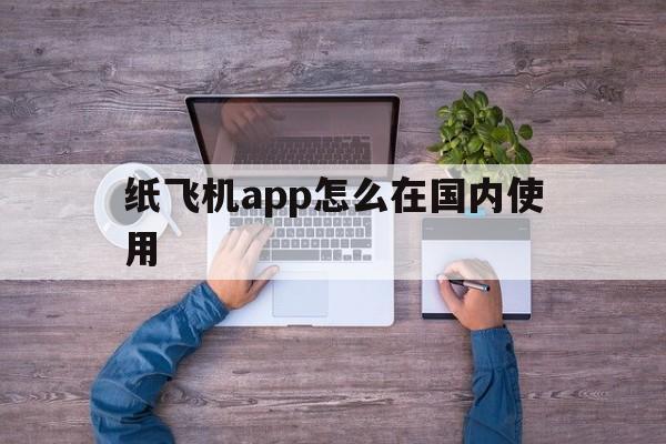 纸飞机app怎么在国内使用，纸飞机这个app国内可以用吗?