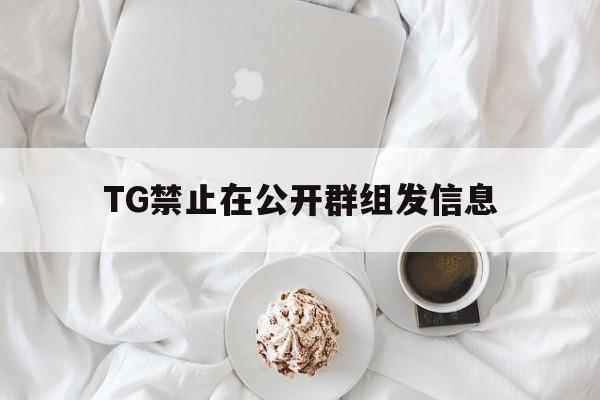 包含TG禁止在公开群组发信息的词条