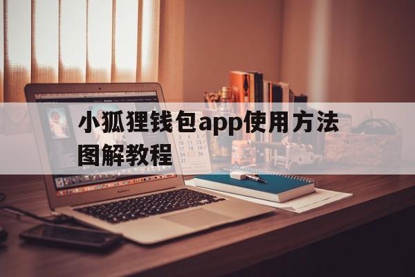 小狐狸钱包app使用方法图解教程，小狐狸钱包app使用方法图解教程图片