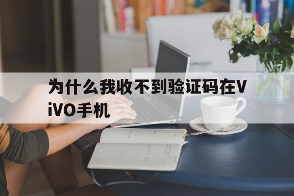 为什么我收不到验证码在ViVO手机，为什么我收不到验证码在vivo手机里