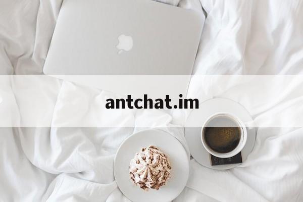 antchat.im-anticheat什么意思